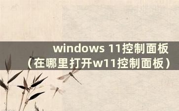 windows 11控制面板（在哪里打开w11控制面板）